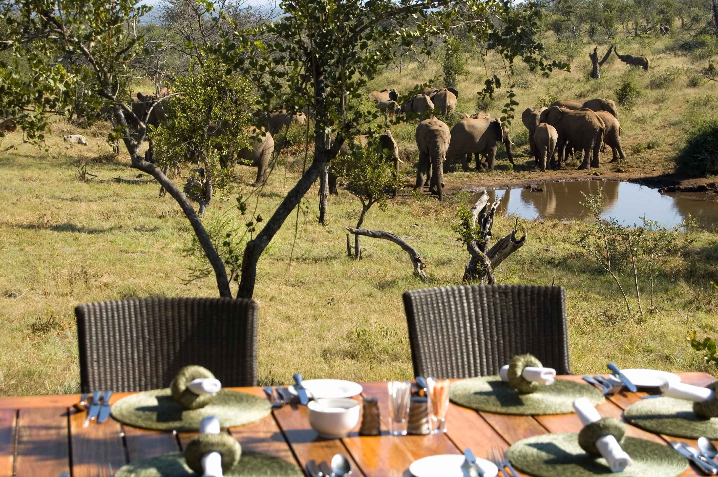 Luxury African Safari